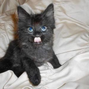 Meet your Posher, Deborah